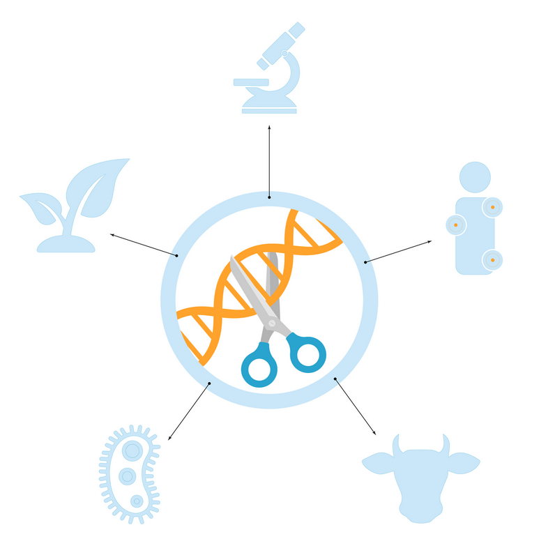 Генетическая инженерия и редактирование генома: новые возможности и этические дилеммы