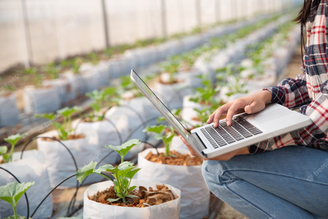 Интернет вещей в сельском хозяйстве: применение технологий для увеличения урожайности и оптимизации пр